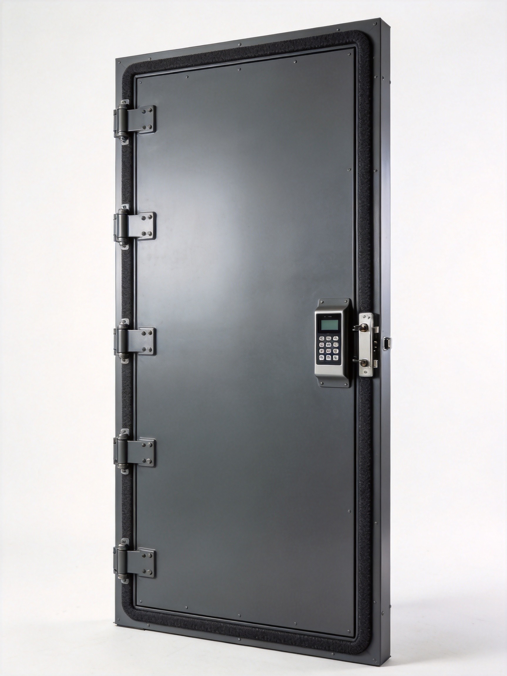 Electromagnetic shielding door